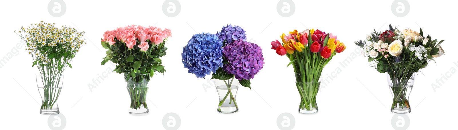 Image of Collage of stylish vase with different bouquets on white background