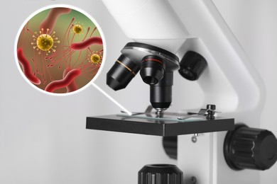 Image of Examination of sample with germs and bacteria under microscope in laboratory
