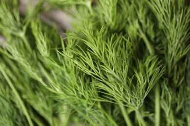 Photo of Sprigs of fresh green dill on table, closeup