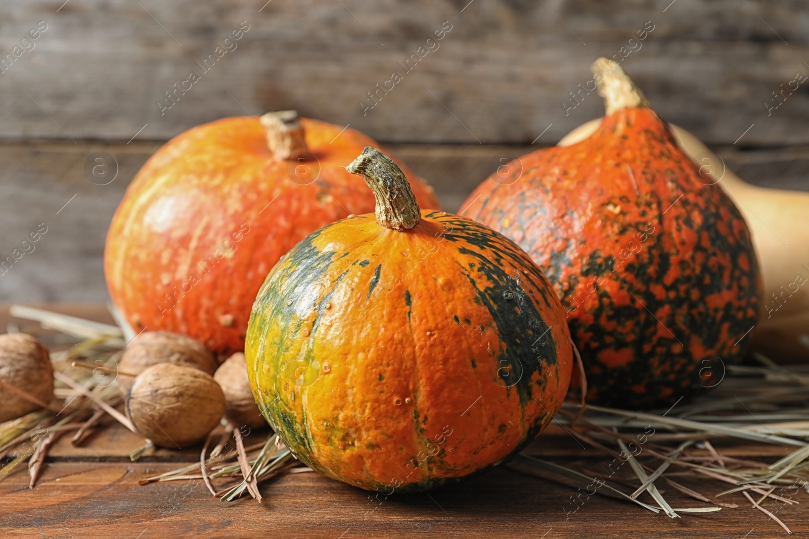 Photo of Different pumpkins on table against wooden wall. Autumn holidays