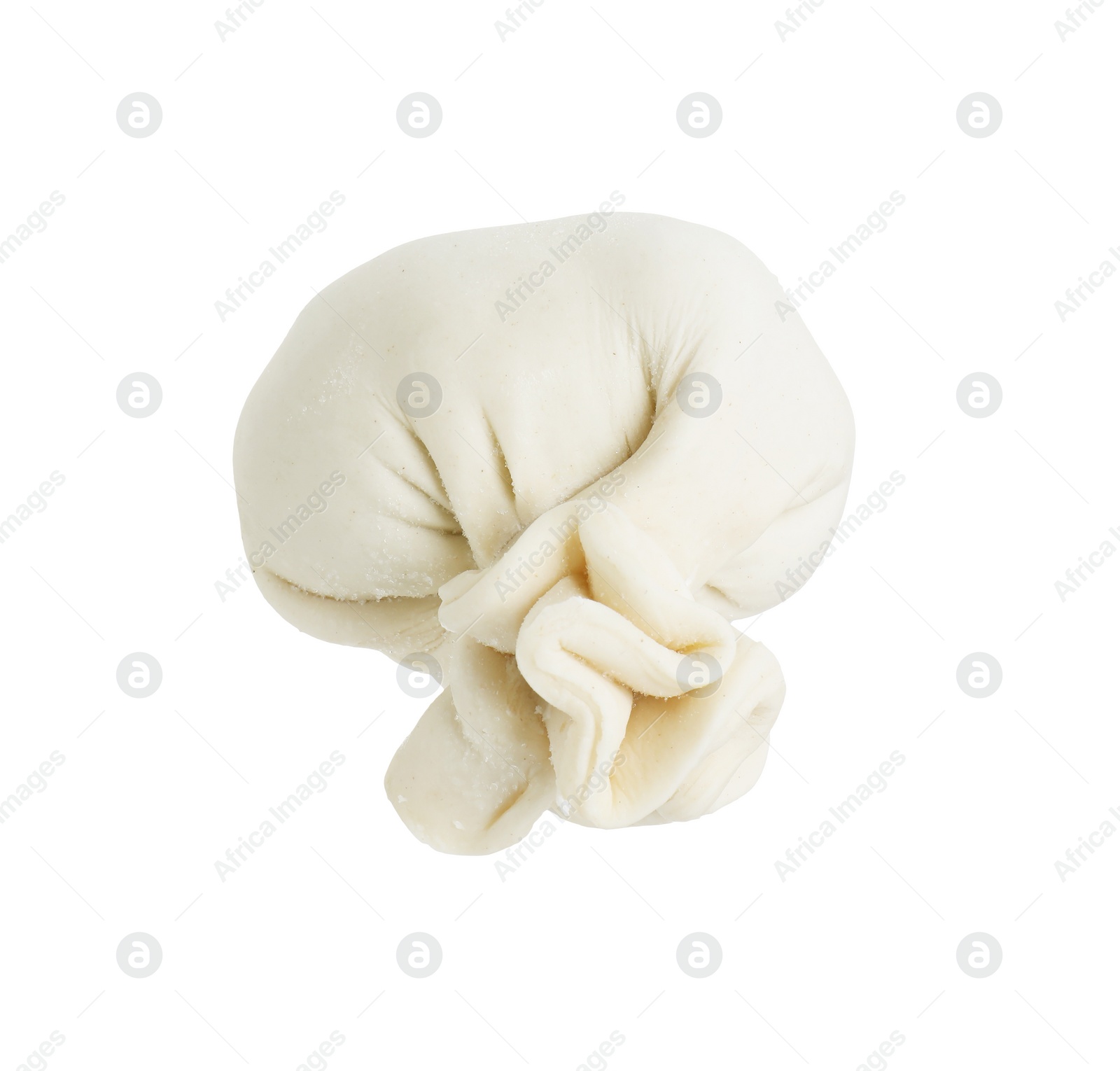 Photo of Uncooked khinkali (dumpling) isolated on white. Georgian cuisine