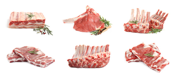 Image of Set of raw ribs on white background