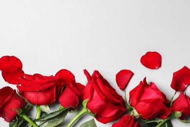 Beautiful red roses and petals on light background, flat lay. Space for text