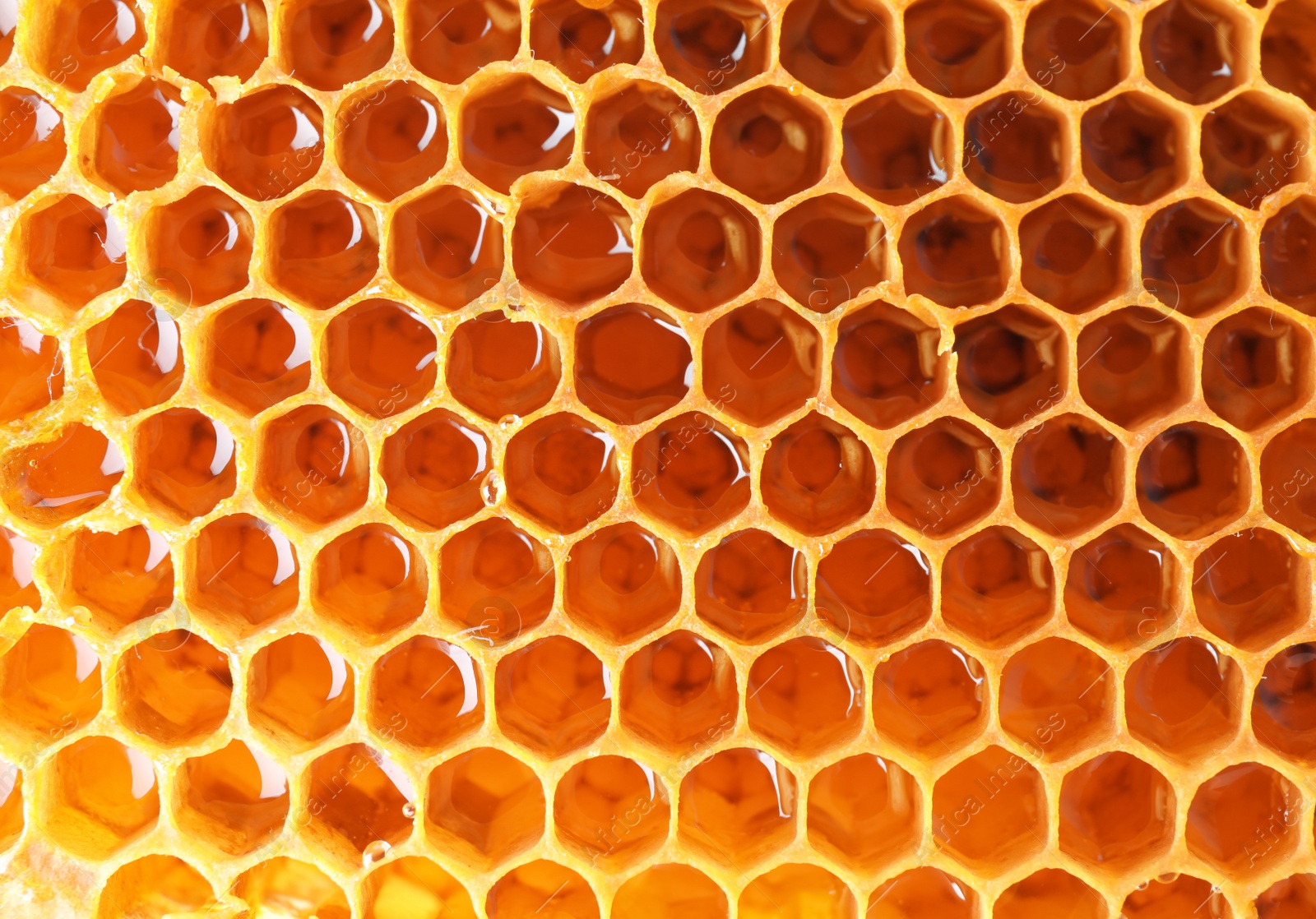 Photo of Filled honeycomb as background. Healthy natural sweetener