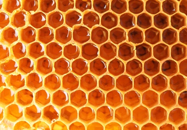 Photo of Filled honeycomb as background. Healthy natural sweetener