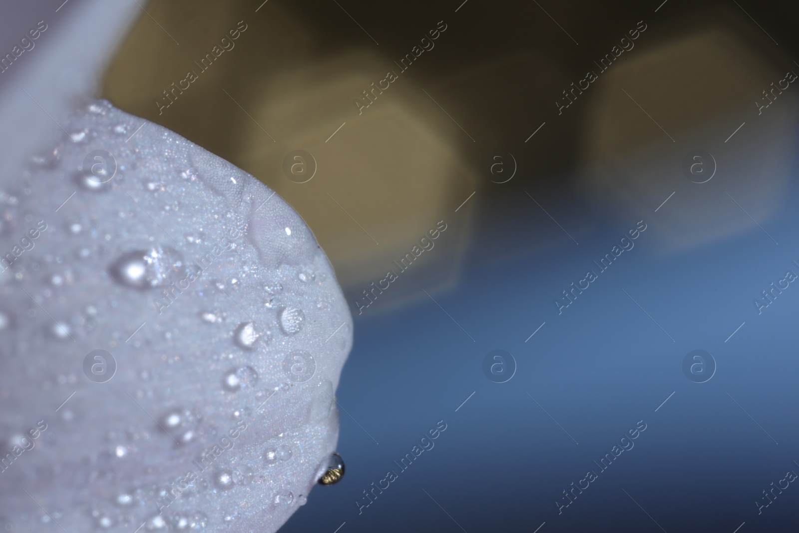 Photo of Macro photo of flower petal with water drops against blurred background. Space for text