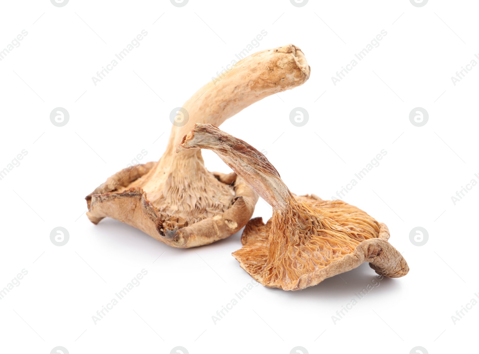 Photo of Delicious organic dried mushrooms on white background