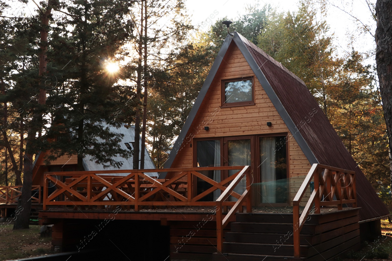 Photo of Picturesque view of modern wooden house with veranda near forest on sunny day