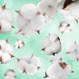 Image of Beautiful cotton flowers falling on aquamarine background