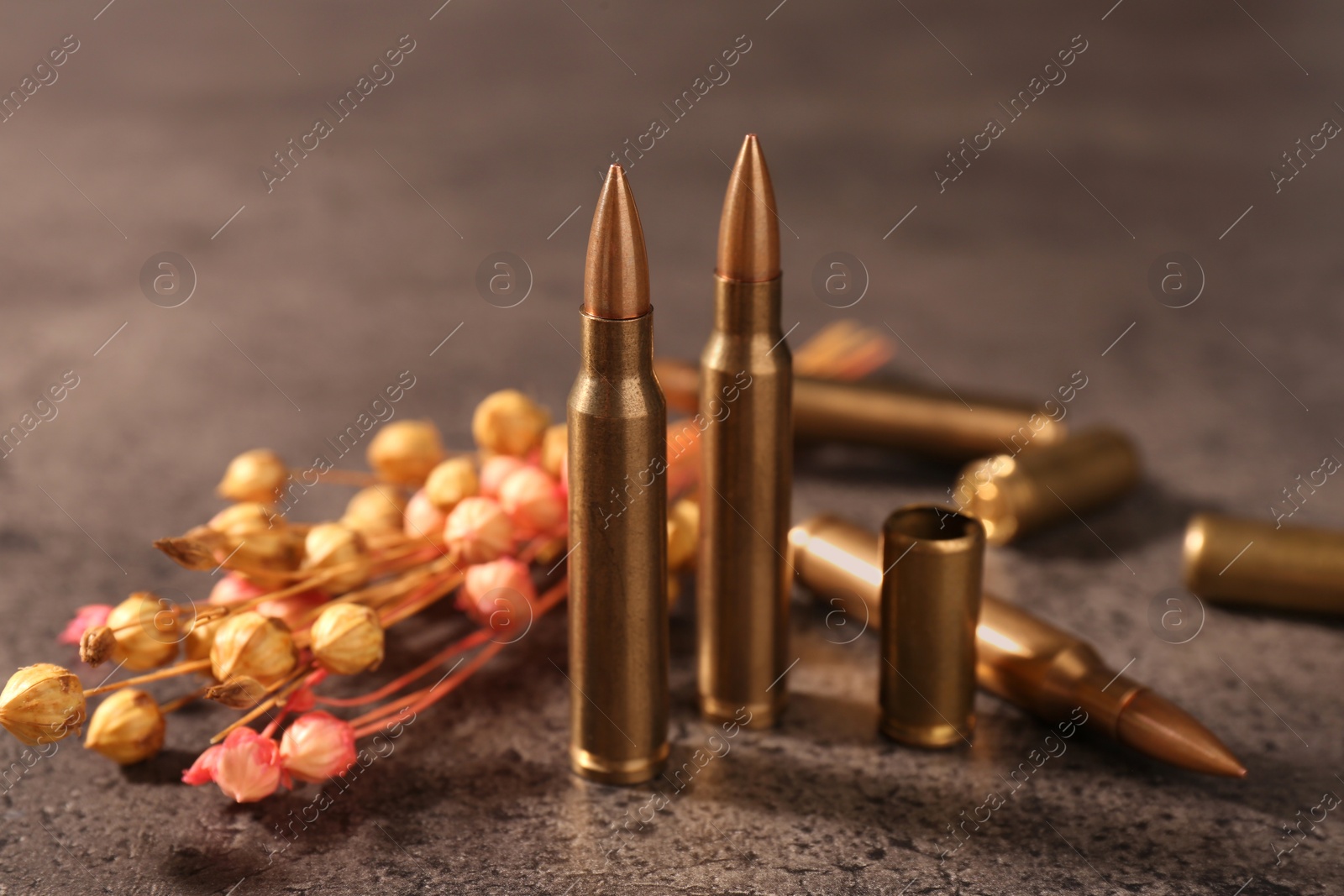 Photo of Bullets and beautiful dry plant on grey textured table, closeup