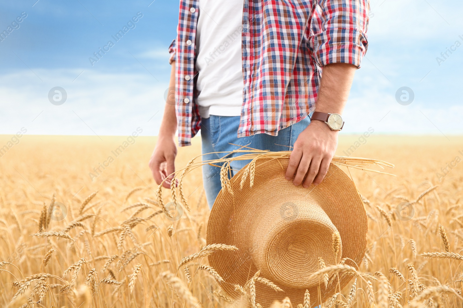 Photo of Young agronomist with straw hat in grain field. Cereal farming