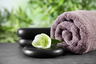 Composition with flower, spa stones and towel on black table against blurred background. Space for text