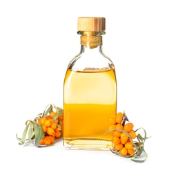 Natural sea buckthorn oil and fresh berries on white background