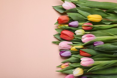 Beautiful colorful tulips on pale pink background, flat lay. Space for text