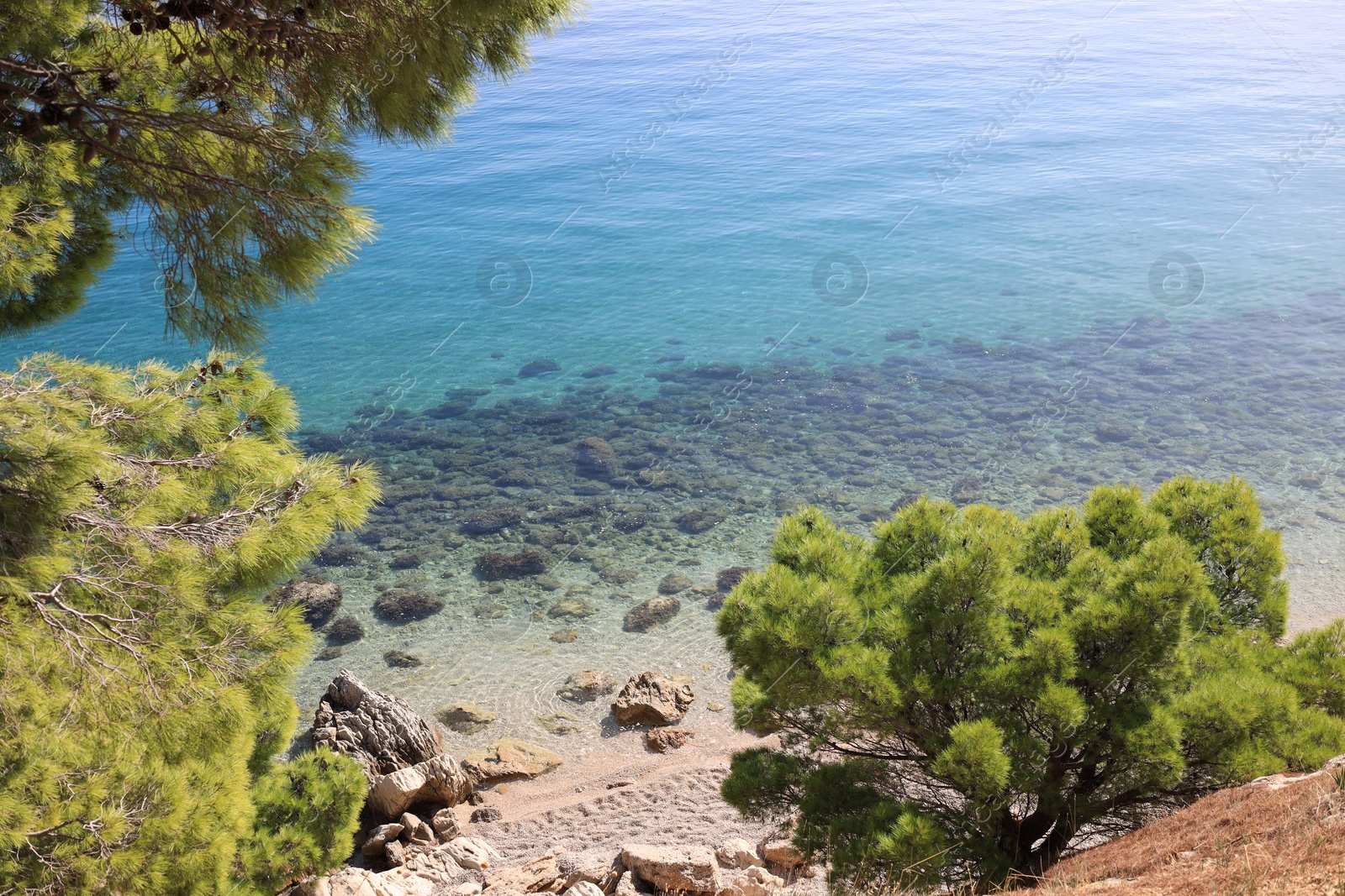 Photo of Beautiful view of seascape with trees outdoors