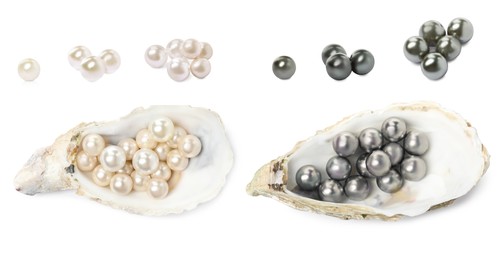 Image of Set with beautiful pearls and oyster shells on white background
