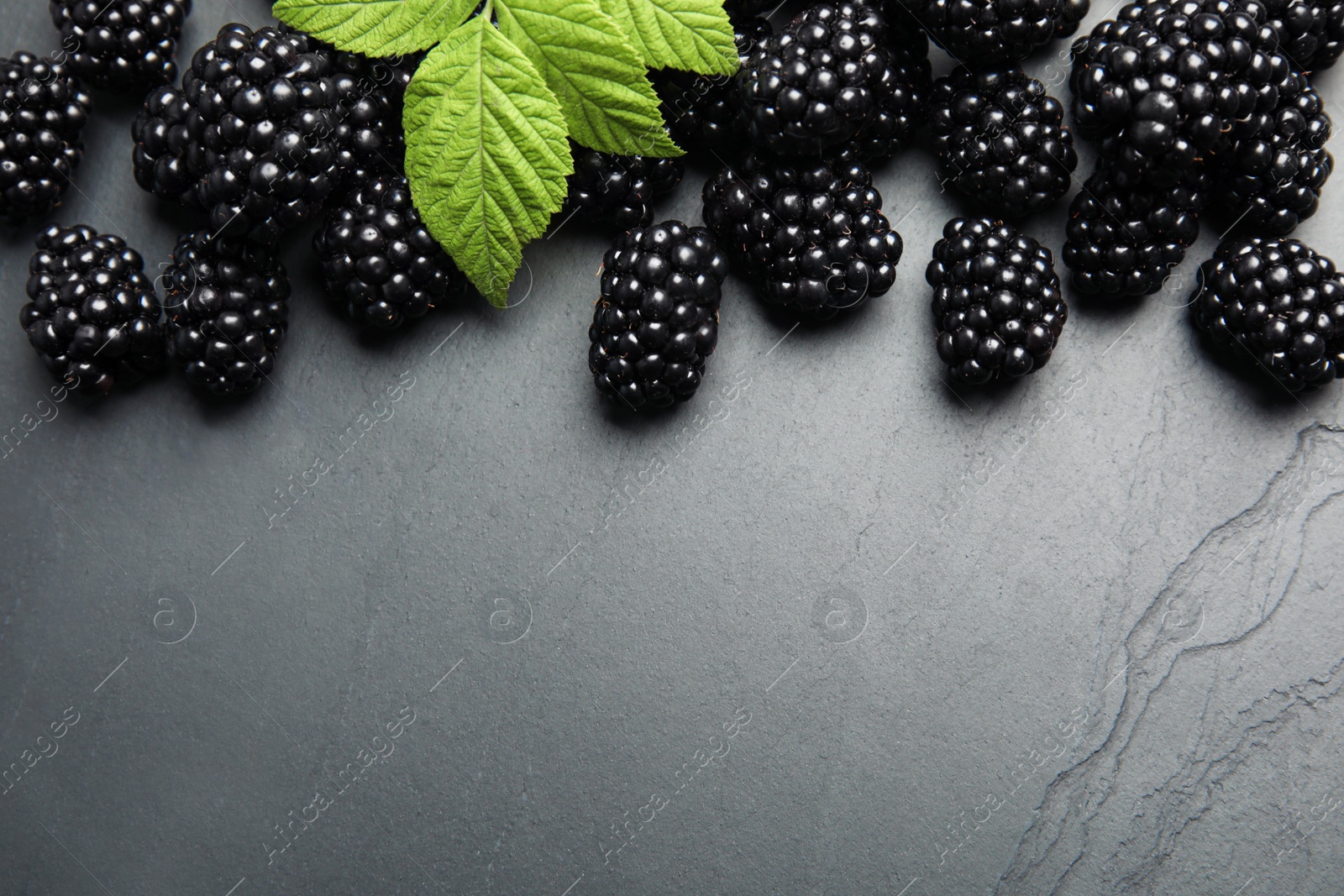 Photo of Tasty ripe blackberries with leaves on slate plate, flat lay. Space for text