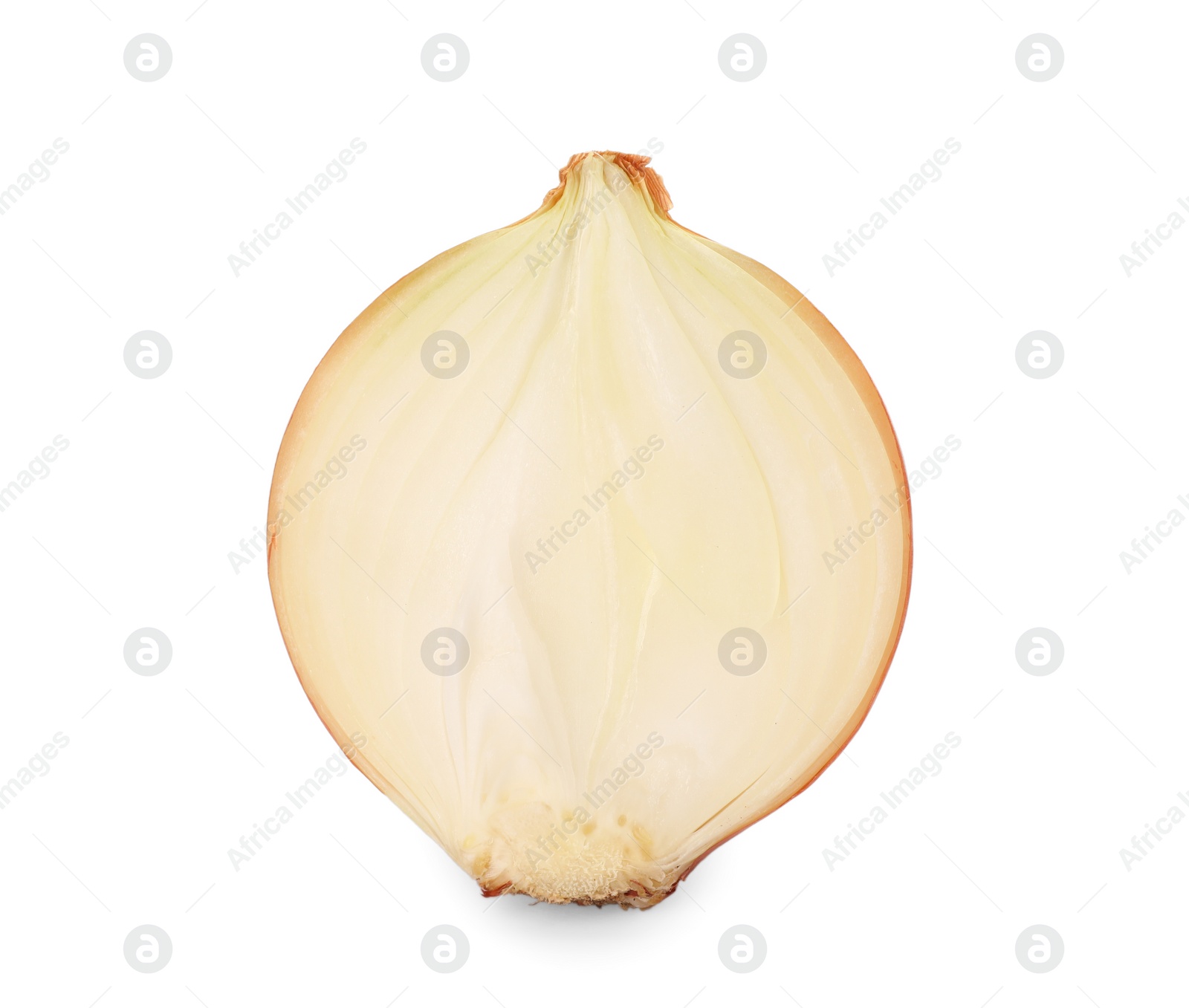 Photo of Half of fresh onion isolated on white