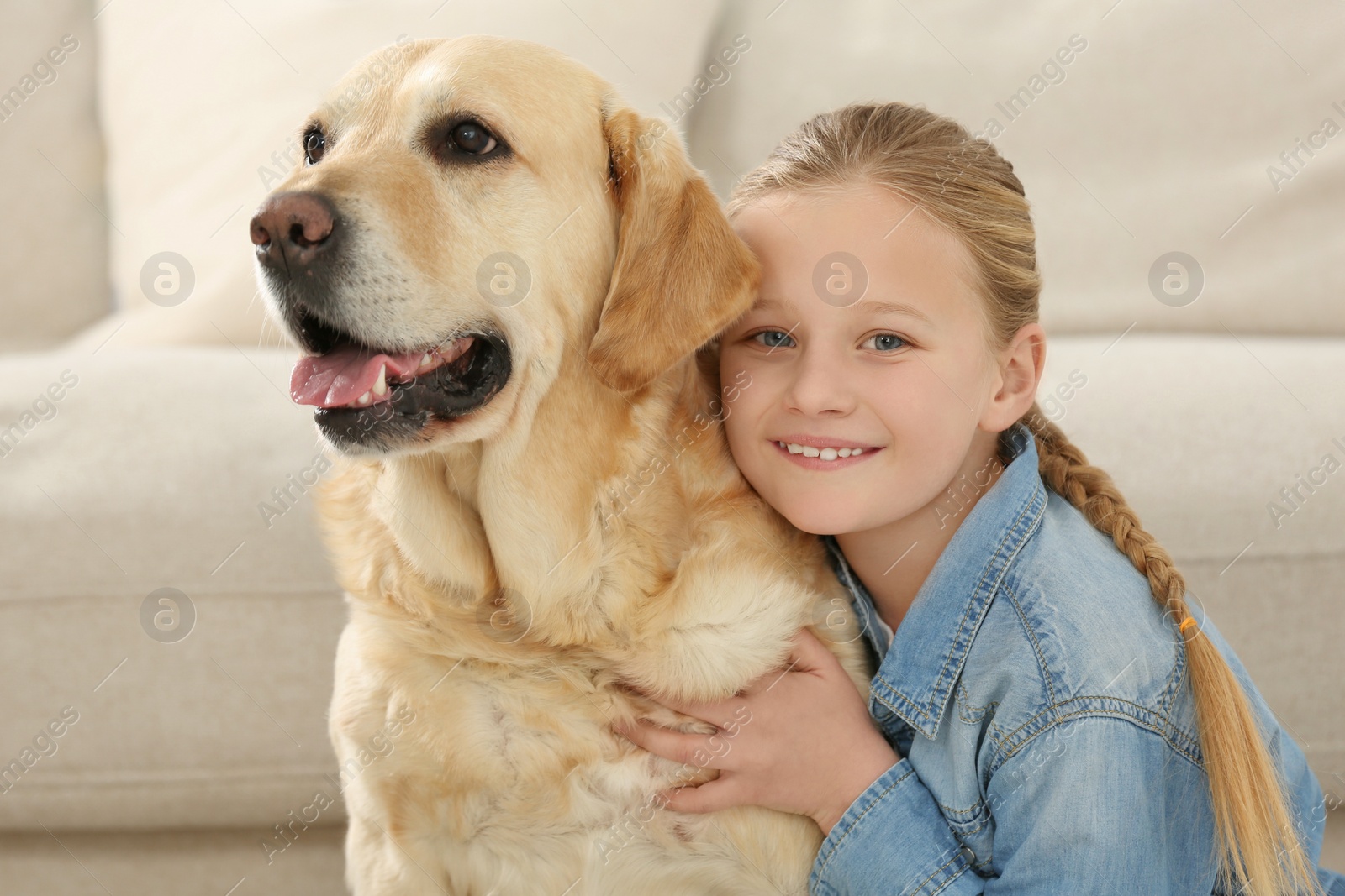 Photo of Cute child with her Labrador Retriever indoors. Adorable pet