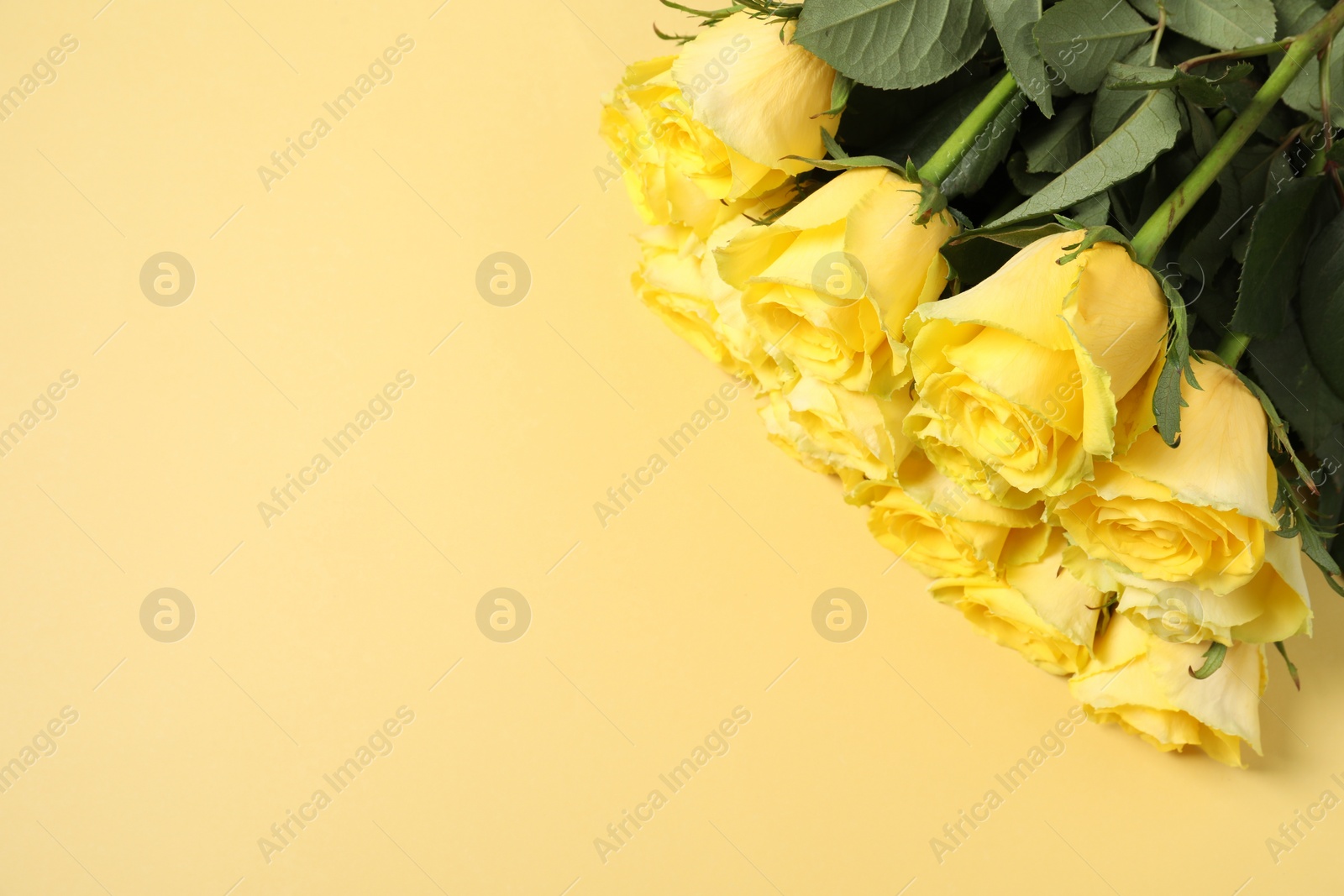 Photo of Beautiful bouquet of yellow roses on beige background, top view. Space for text