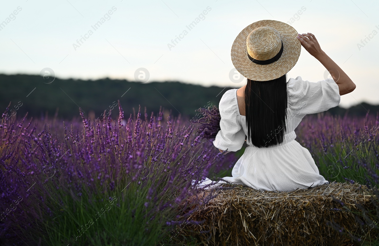 Photo of Woman sitting on hay bale in lavender field, back view