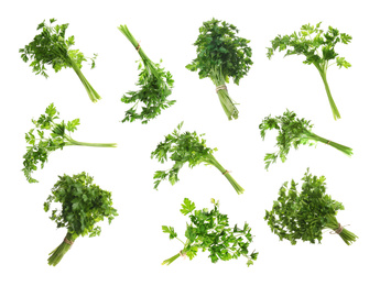 Image of Set with green parsley on white background