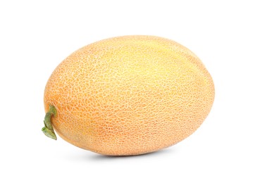 Photo of Whole tasty ripe melon isolated on white