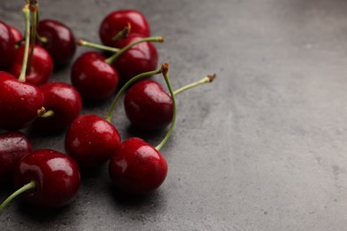 Photo of Many sweet cherries on grey table, space for text