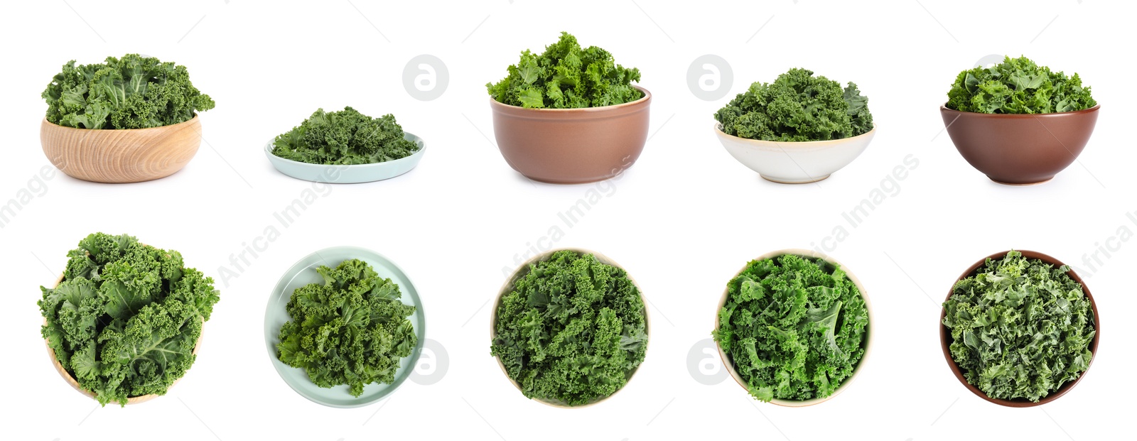 Image of Set of fresh green kale leaves on white background. Banner design 