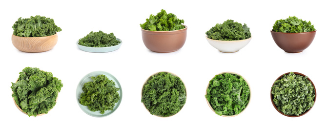 Image of Set of fresh green kale leaves on white background. Banner design 