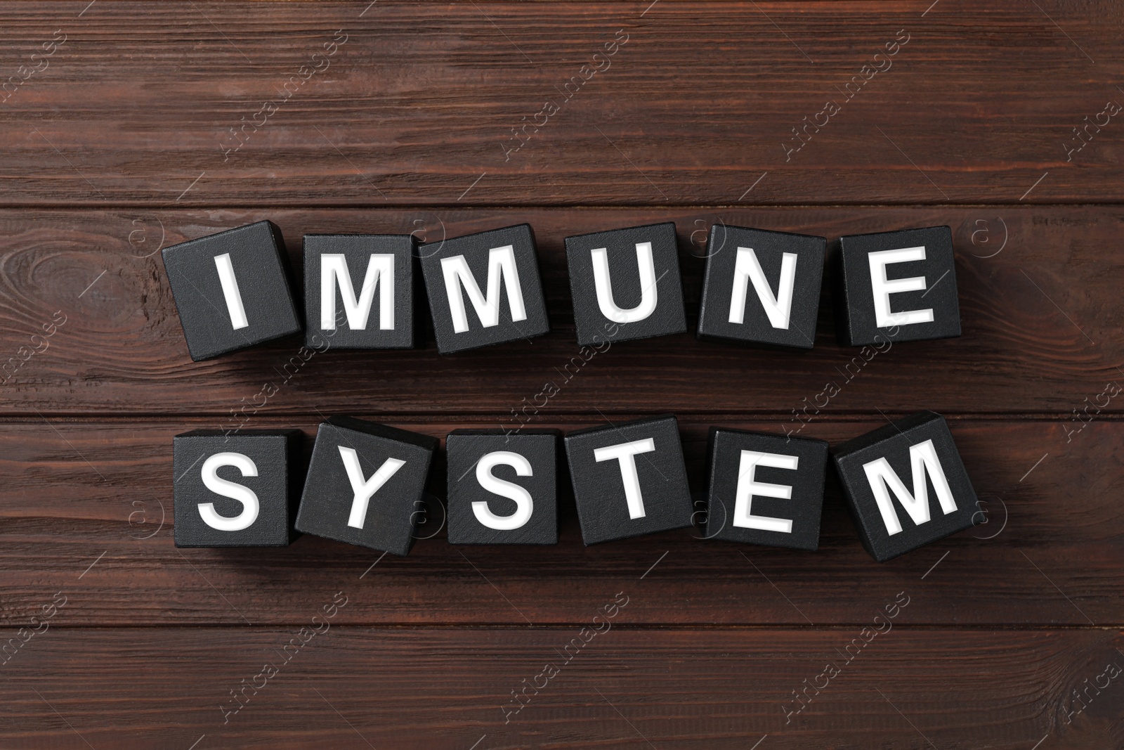 Photo of Black cubes with phrase Immune System on wooden table, flat lay