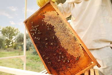 Beekeeper in uniform with honey frame at apiary, closeup