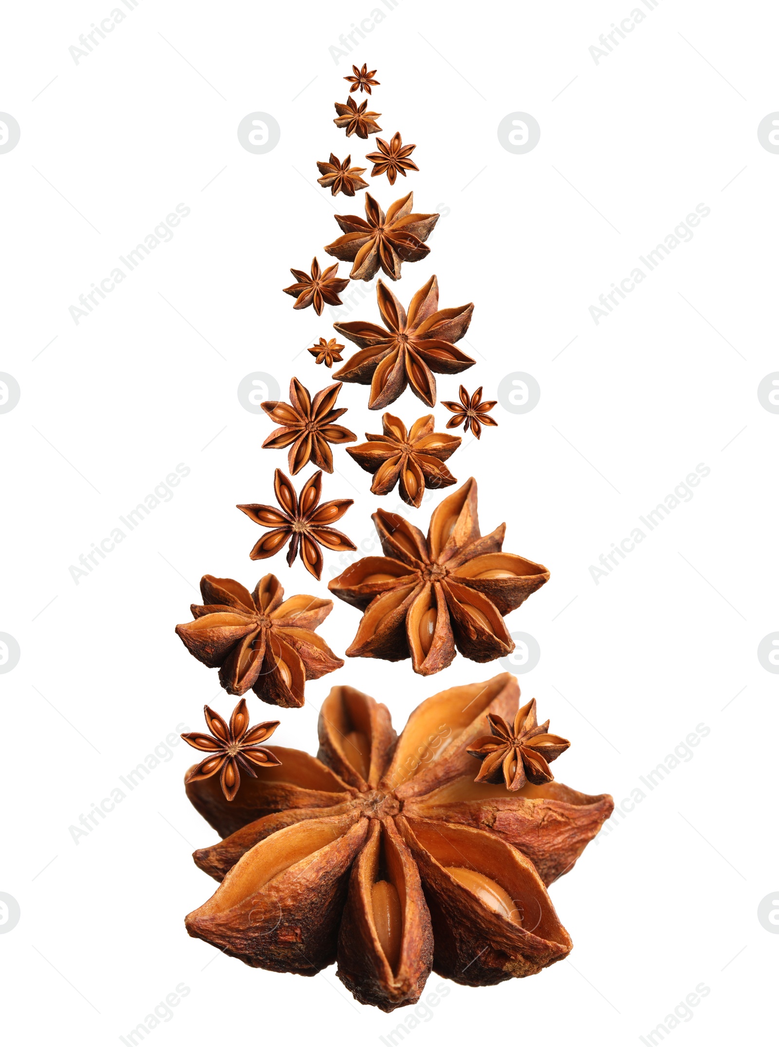 Image of Dry aromatic anise stars falling on white background