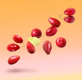 Image of Fresh red dogwood berries and leaf falling on gradient background