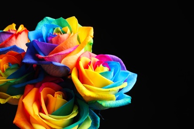 Photo of Amazing rainbow rose flowers on black background