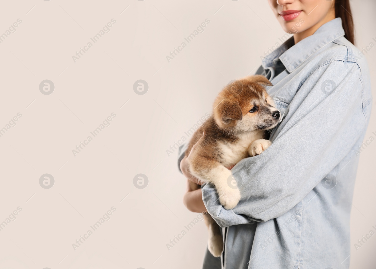Photo of Woman holding Akita Inu puppy on light background, closeup. Space for text