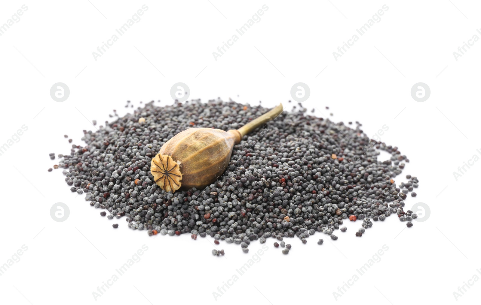 Photo of Dried poppyhead and seeds on white background