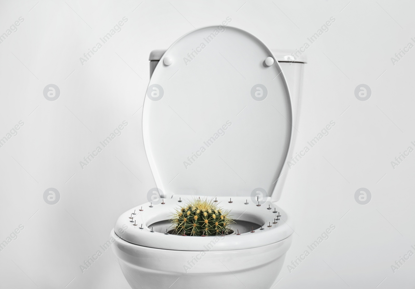 Photo of Toilet bowl with pins and cactus on white background. Hemorrhoids concept