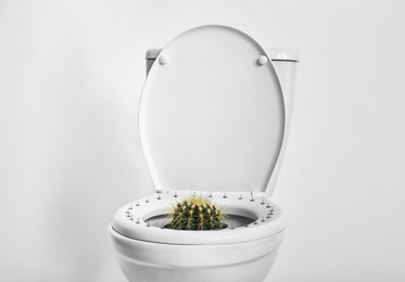 Photo of Toilet bowl with pins and cactus on white background. Hemorrhoids concept
