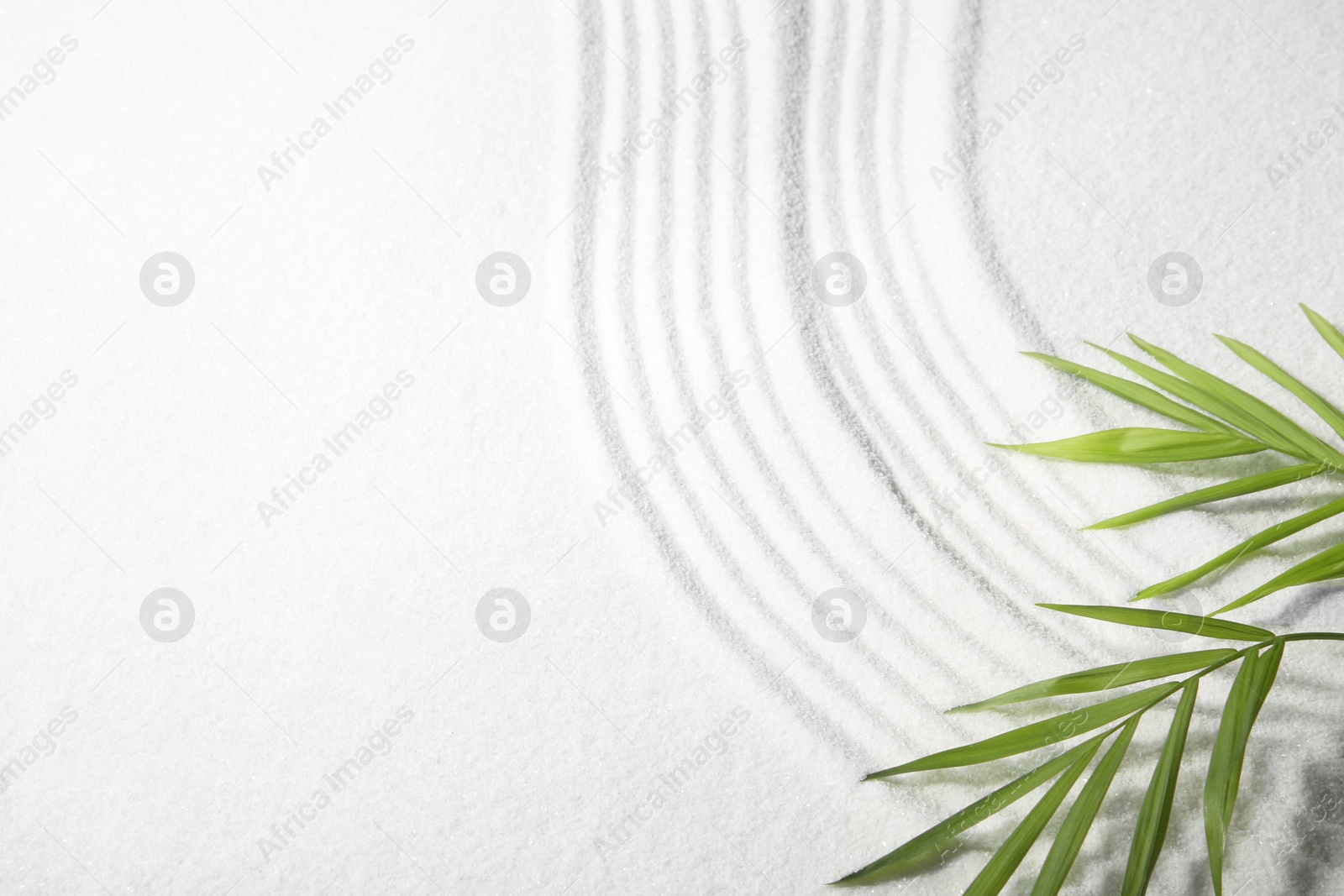 Photo of Zen rock garden. Wave pattern and green leaf on white sand, top view