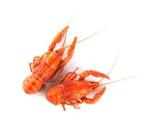 Delicious boiled crayfishes isolated on white, top view