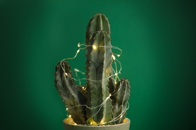 Cactus decorated with glowing fairy lights on green background, closeup