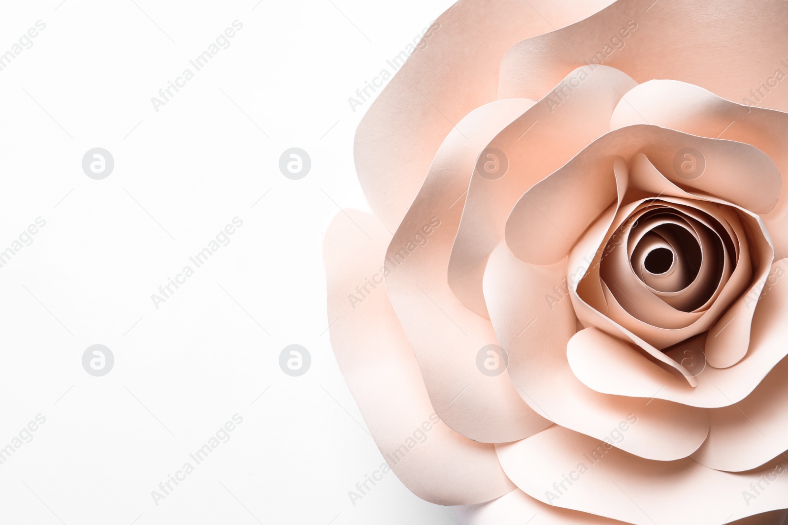 Photo of Beautiful beige flower made of paper on white background, top view