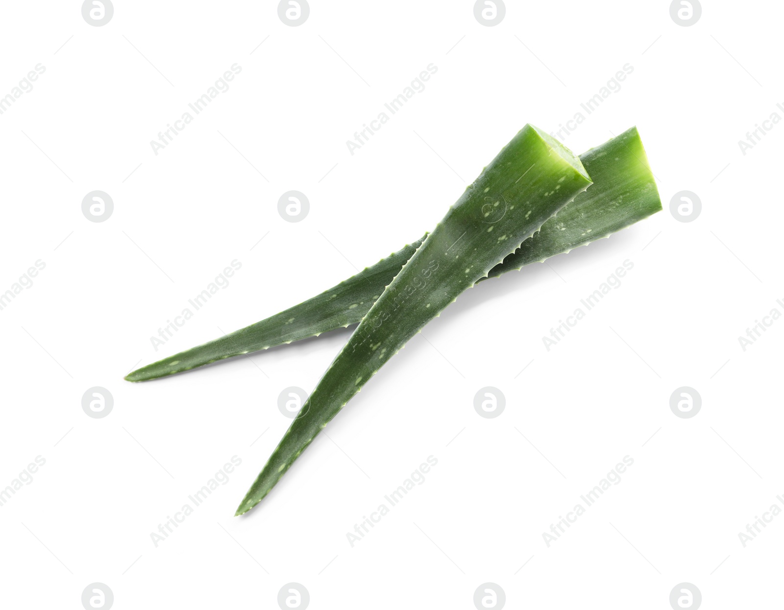 Photo of Green aloe vera leaves isolated on white, top view