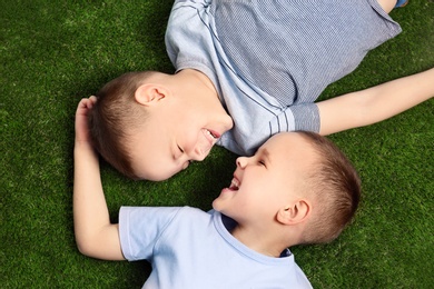 Portrait of cute twin brothers on green grass, top view
