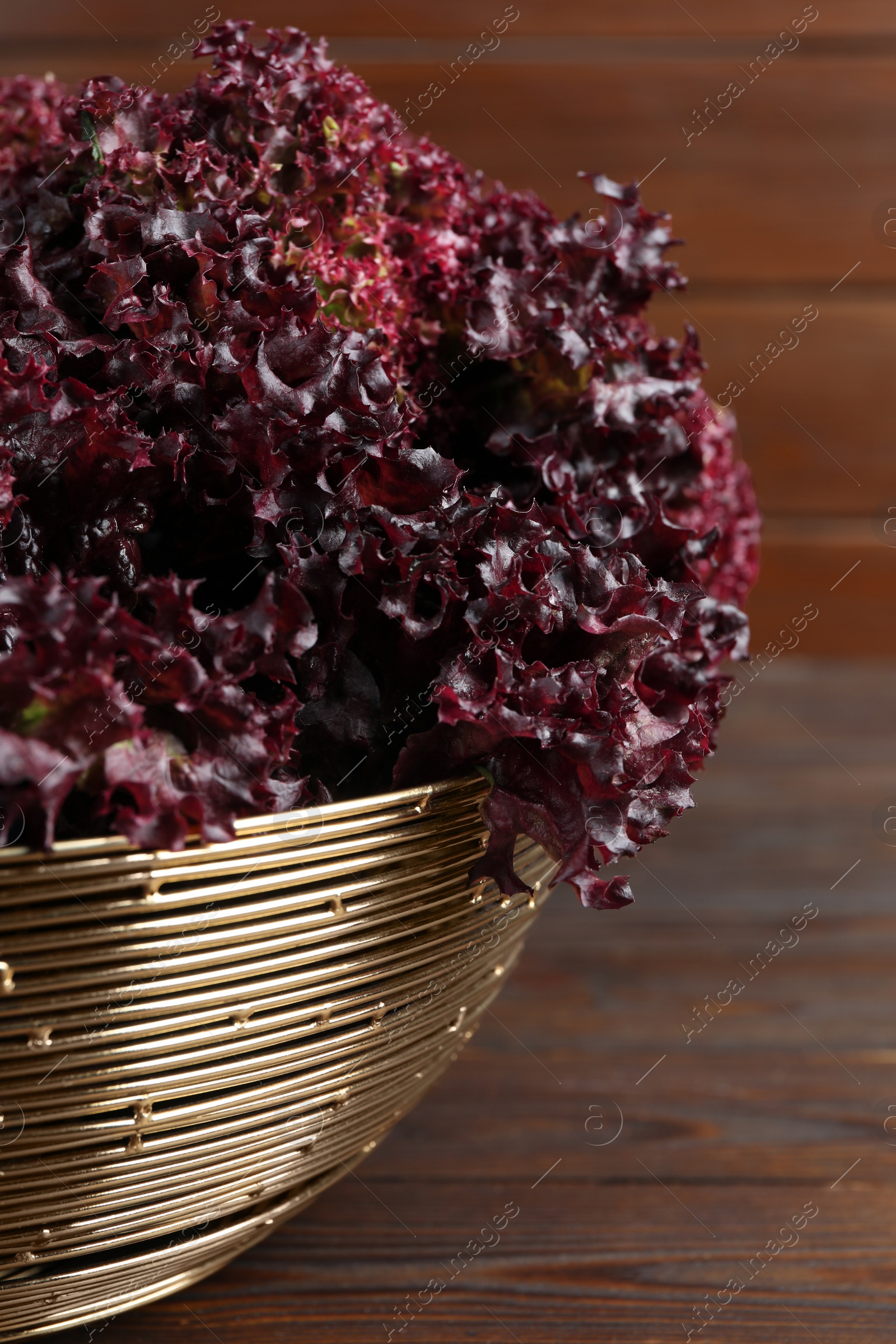 Photo of Bowl with fresh red coral lettuce on wooden table