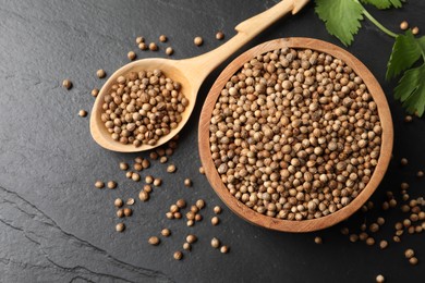 Dried coriander seeds in bowl, spoon and green leaves on dark gray textured table, flat lay