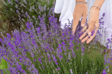 Woman in lavender field on summer day, closeup