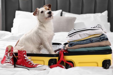 Travel with pet. Dog, clothes, shoes and suitcase on bed indoors