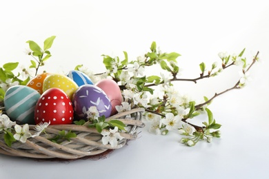 Photo of Painted Easter eggs in nest and blossoming branches on white background